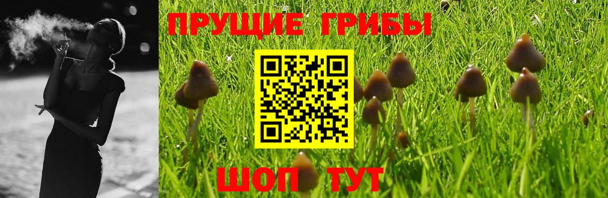 МЕТАДОН Бузулук